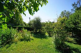Grundstück zu kaufen in 1130 Wien, Kleingarten-Parzelle in Hietzing - Ober St. Veit beim Lainzer Tiergarten