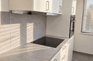 Wohnung mieten in Siebertgasse, 1120 Wien, Helle & freundliche 1,5-Zimmer-Wohnung mit neuer Küche und Grünblick