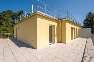 Anlageobjekt in Kabanenweg, 3040 Neulengbach, Ertrag ab dem Ersten Tag: Bereits Vermietete 3-Zimmer DG Wohnung mit Riesiger Terrasse im Wohnpark Neulengbach