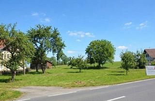 Grundstück zu kaufen in 4912 Neuhofen im Innkreis, Betriebsbaugrund Werbewirksam Gelegen - Inklusive Bestandsgebäude (Büro/Lager/Betriebswohnung)