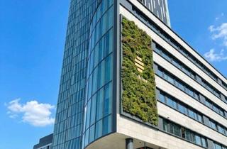 Büro zu mieten in Wienerbergstraße/Triester Straße, 1100 Wien, Bürofläche in Myhive am Wienerberg