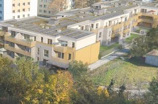 Wohnung kaufen in Zeitlhofergasse, 2320 Schwechat, Stadtgarten. Eigentumswohnungen am Rathauspark Schwechat