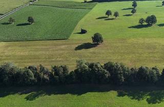 Grundstück zu kaufen in 6336 Unterlangkampfen, Landwirtschaftliche Flächen in Langkampfen - Über 5 Hektar in Attraktiver Lage