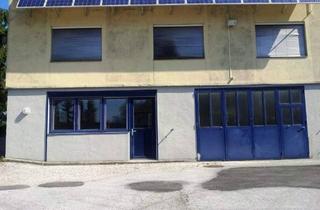 Büro zu mieten in 5300 Hallwang, Lager mit Büro in Hallwang/Mayrwies