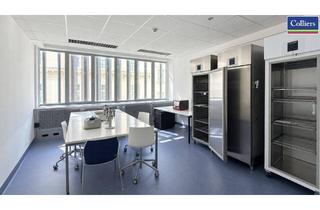 Büro zu mieten in Schwarzenbergplatz, 1030 Wien, Klimatisierte Labor-/Bürofläche am Schwarzenbergplatz