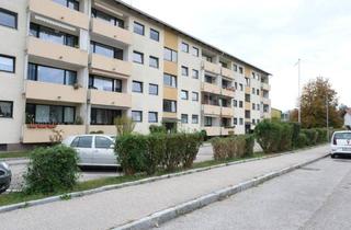 Wohnung mieten in Fabrikstraße 15b, 4651 Stadl-Traun, WOHNEN IM GRÜNEN - 3 ZIMMER WOHNUNG MIT BALKON