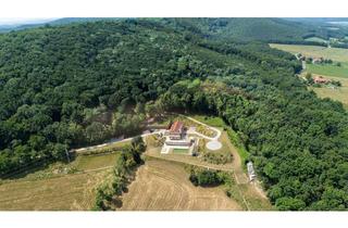 Haus kaufen in 2391 Kaltenleutgeben, !!! WOHNEN MIT CHARAKTER – IN EINEM HAUS MIT EINER AUSSERGEWÖHNLICHEN EINSTEIN - GESCHICHTE !!!