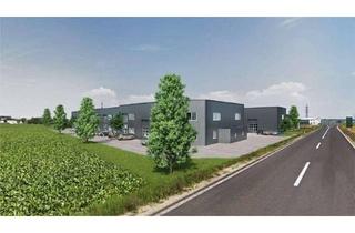 Gewerbeimmobilie mieten in Daimlerring, 4493 Wolfern, aktuell gibt es 1 Gewerbehalle mit 131 m² zum mieten - KAUFPREIS AUF ANFRAGE !