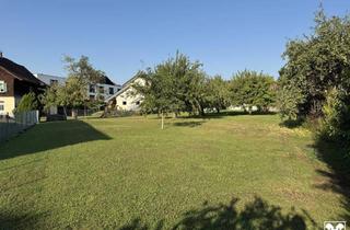 Grundstück zu kaufen in 6890 Lustenau, Großes Baugrundstück mit Altbestand - Teilung möglich