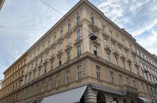 Wohnung mieten in 1010 Wien, Arbeiten und Wohnen unter eine Dach mitten in der wunderschönen Innestadt von Wien!