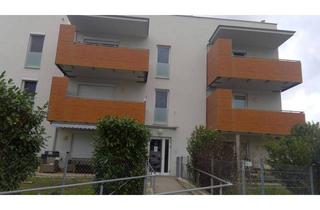 Wohnung mieten in Wipfinger Str. 22/4/2, 3433 Königstetten, Königstetten | Geförderte Gartenwohnung in Miete mit Kaufoption | Top 4/2 | ca. 140m² Garten