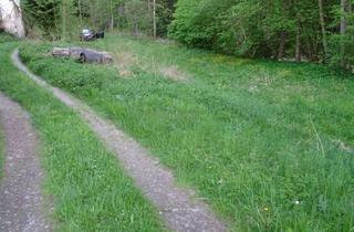 Grundstück zu kaufen in 4121 Altenfelden, Für Naturliebhaber ! Großes Idyllische Grundstücke Nähe Altenfelden zum Kleinen Preis !