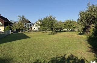 Grundstück zu kaufen in 6890 Lustenau, Großes Baugrundstück mit Altbestand - Teilung möglich