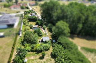 Einfamilienhaus kaufen in 7540 Güssing, Naturparadies mit Schwimmteich – Mobilheim auf 8.386 m² Grundstück mit zusätzlichem Baupotenzial in sonniger Ruhelage