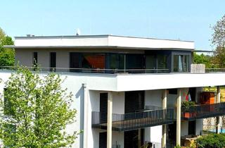 Penthouse kaufen in 8490 Bad Radkersburg, Modernes Penthouse mit eigenem Liftzugang direkt in die Wohnung und dreiseitiger Dachterrasse mit Wintergarten