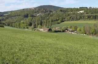 Gewerbeimmobilie kaufen in 7434 Bernstein, 21 ha Pferde-/ Viehhaltung in Alleinlage