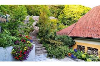 Haus mieten in 2500 Baden, Haus zu mieten beim Kurpark