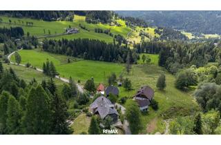Almhütte zu kaufen in Hinterwinkel, 9543 Arriach, Historisches Almhaus mit unvergleichlichem Bergpanorama
