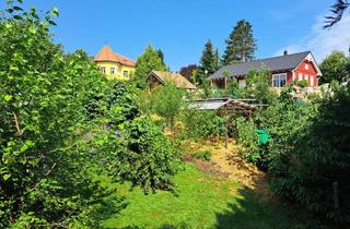 Grundstück zu kaufen in Habsburggasse, 3052 Innermanzing, Hochwassersicheres Traumgrundstück mit Gartenhütte und Weitblick zu verkaufen!