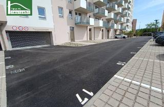 Garagen mieten in Doktor-Wilhelm-Steingötter-Straße 25, 3107 Sankt Pölten, Perfekt geschützt - PKW Tiefgaragenstellplatz im Steingötterhof - Dr. Wilhelm Steingötter Straße 25