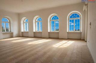 Büro zu mieten in 1020 Wien, 12 freie Wohn- Büro- Loft- Räume - Altbau - Nahe Augarten-Park U2