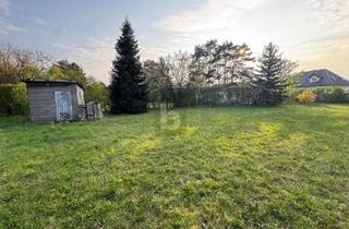 Grundstück zu kaufen in 2230 Gänserndorf, WUNDERSCHÖNES GROßES GRUNDSTÜCK IN RUHIGER UND GRÜNER LAGE