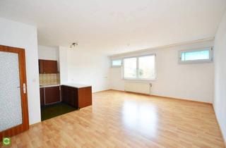 Wohnung mieten in 2340 Mödling, CHRISTOPH CHROMECEK IMMOBILIEN - MÖDLING - Großzügige Einraumwohnung in Zentrumsnähe!