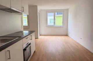 Wohnung mieten in Erlaaer Straße, 1230 Wien, Leistbare 1,5 Zimmerwohnung mit Balkon im Innenhof – 1.29