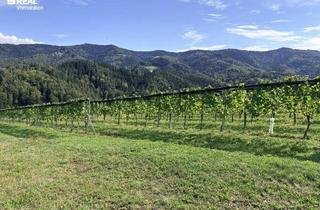 Gewerbeimmobilie kaufen in 8552 Eibiswald, Weingarten mit Kellerstöckl - Bezirk Deutschlandsberg