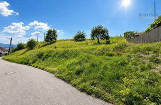 Grundstück zu kaufen in 9321 Passering, Großzügige Baugrundstücke mit traumhafter Aussicht#Teilbar #KeineBebauungsverpflichtung #Landidylle