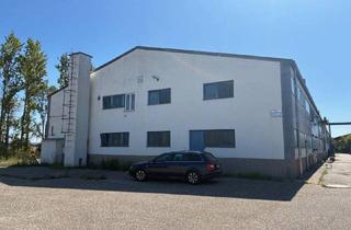 Büro zu mieten in 2431 Enzersdorf an der Fischa, Nahe Flughafen Wien: ca. 1900m² Lagerhalle - teilbar - 2 separate Büros