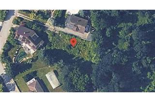 Grundstück zu kaufen in Karoline Pichler Gasse 22, 2112 Würnitz, PREIS REDUZIERT: Baugrund am Waldrand, 2 Wohneinheiten möglich – 751 m², provisionsfreit