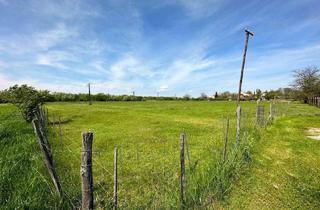 Grundstück zu kaufen in 7152 Pamhagen, Bau- und Freizeitgrundstücke IN UNGARN | Bis zu 9.285 m2 erweiterbar! | Natur pur in der UNESCO-Kulturlandschaft Fertő-Neusiedler See!