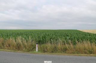Gewerbeimmobilie kaufen in Oberhautzental/Unterhautzental, 2011 Sierndorf, "Landwirte aufgepasst!"