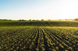 Gewerbeimmobilie kaufen in 2325 Himberg, "Biologische Landwirtschaft!"