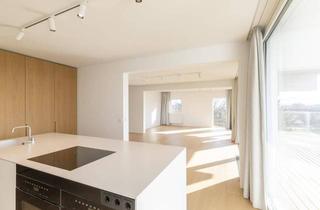 Penthouse kaufen in 4840 Vöcklabruck, Penthouse-Feeling mit Weitblick & großzügiger Außenfläche