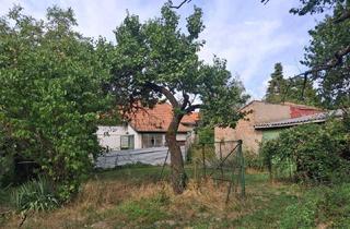 Haus kaufen in Neufelderstr., 7053 Hornstein, Mach mich groß - Projekt "Haus und Garten in Hornstein!"