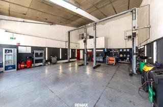 Büro zu mieten in Industriestraße, 2201 Hagenbrunn, "Etablierte KFZ-Werkstatt mit Top-Kundenstock & Komplettausstattung nahe G3 zu vermieten!''