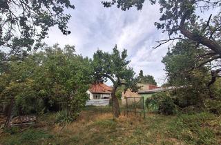 Grundstück zu kaufen in Neufelderstr., 7053 Hornstein, Großes Grundstück 5.143 m² in Hornstein - Baugrund und Grünland