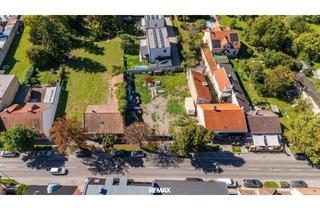 Grundstück zu kaufen in Hauptstraße 26, 2440 Gramatneusiedl, "Erstklassiges Baugrundstück im Zentrum von Gramatneusiedl"