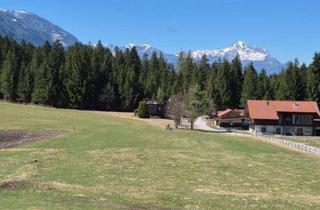 Grundstück zu kaufen in 9771 Berg, Dolomiten-Panorama & Waldrand-Idylle: 2.930 m² Gesamtareal in Bestlage