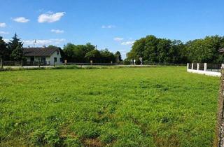 Grundstück zu kaufen in 3435 Pischelsdorf, "761 m² traumhafter Eigengrund Nähe Tulln an der Donau"