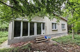 Haus kaufen in Mitterndorfer Straße, 2440 Gramatneusiedl, "SANIERUNGSPROJEKT MIT VIEL POTENZIAL | ca. 1.085 m² Grundstücksfläche | Ruhelage in Mitterndorf an der Fischa"