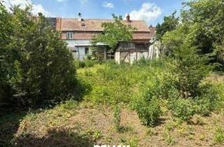 Reihenhaus kaufen in Herrnkirchengasse, 2500 Baden, "405 m² Grundstück mit Altbestand"