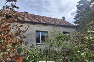 Haus kaufen in Neufelderstr., 7053 Hornstein, ,,Kleines Haus und großer Obstgarten in Hornstein!"
