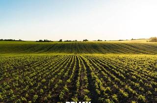 Agrarfläche kaufen in 2325 Himberg, "Biologische Landwirtschaft!"