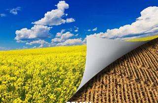 Agrarfläche kaufen in 2325 Himberg, "Biologische Landwirtschaft!"