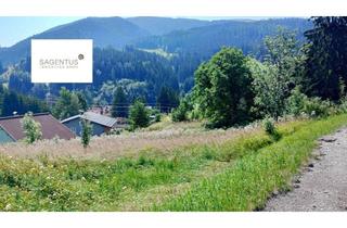 Gewerbeimmobilie kaufen in 8685 Steinhaus am Semmering, Land- und Forstwirtschaftliches-Grundstück in Steinhaus am Semmering – nur 20.500 €!