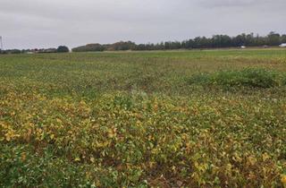 Gewerbeimmobilie kaufen in 2232 Deutsch-Wagram, TOP-AGRARINVESTMENT: ERSTE-KLASSE ACKERFLÄCHE IN TIEFER LAGE IM MARCHFELD