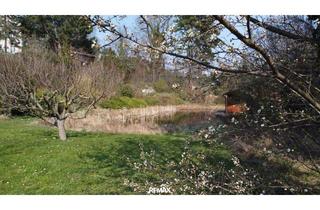 Einfamilienhaus kaufen in Gießhübler Straße, 2344 Maria Enzersdorf, "Exklusives Refugium mit Biotop & 3.000 qm Gartenparadies!"